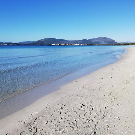 Nuovissimo Appartamento Con Terrazza Alghero Bagian luar foto