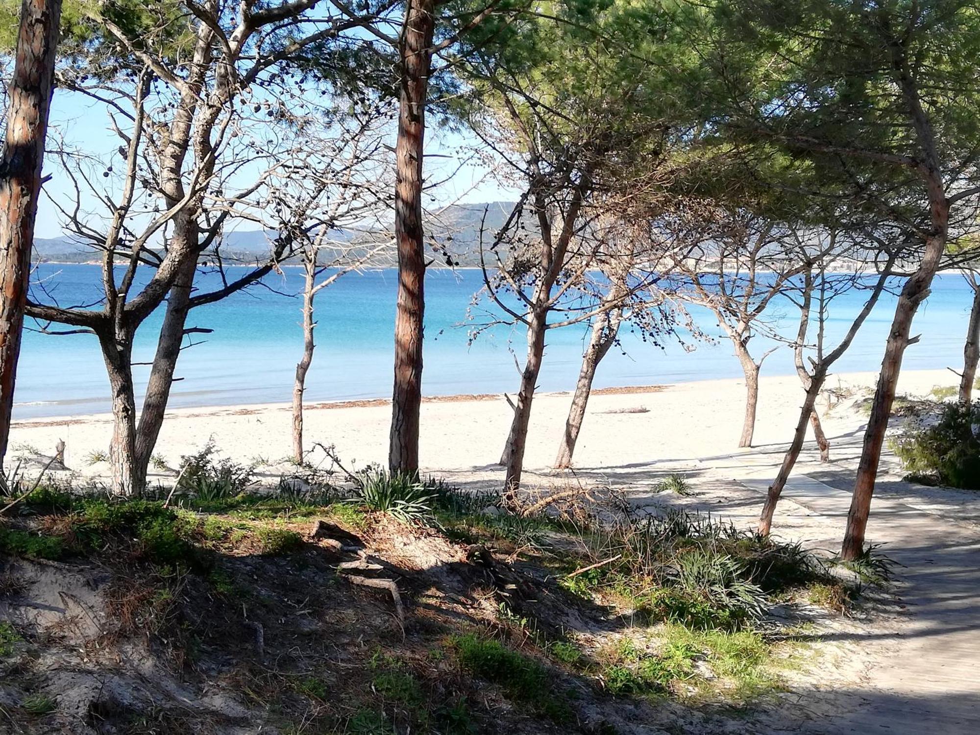Nuovissimo Appartamento Con Terrazza Alghero Bagian luar foto